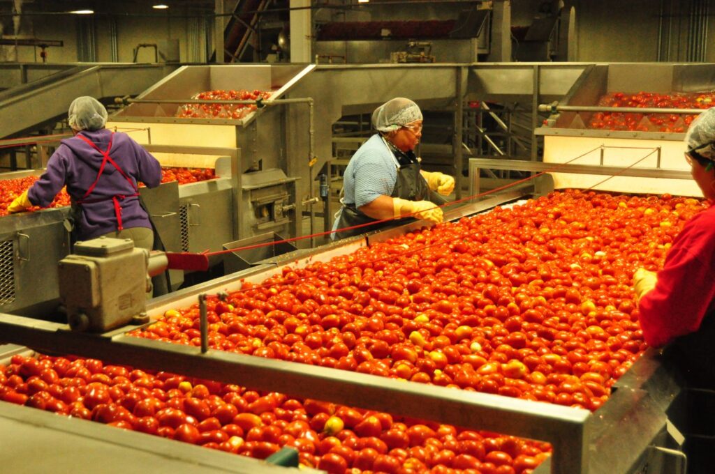 tomato company