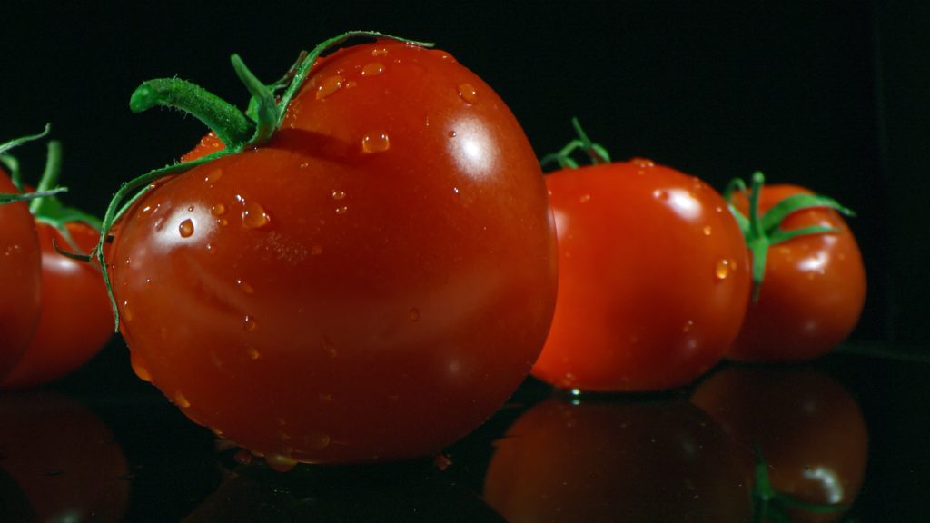 panning-macro-footage-of-wet-homegrown-red-tomatoes-picked-from-garden-lying-on-black--SBI-351105355 | One Source Food Solutions wholesale tomatoes
tomatoes in bulk